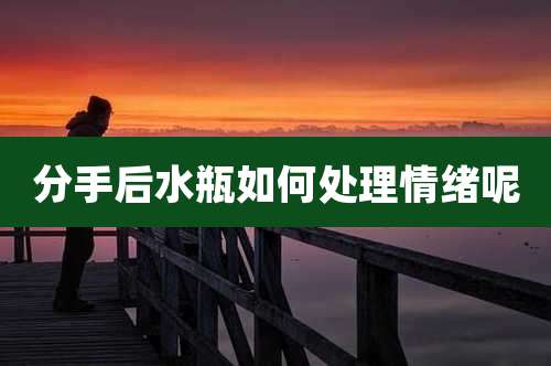 分手后水瓶如何处理情绪呢