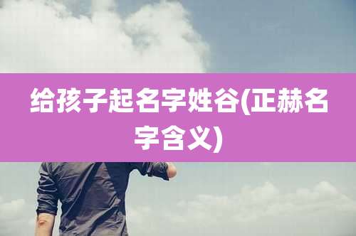 给孩子起名字姓谷(正赫名字含义)