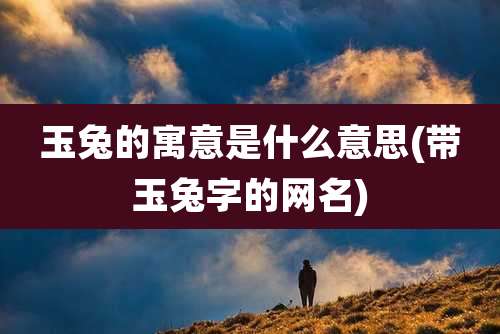 玉兔的寓意是什么意思(带玉兔字的网名)