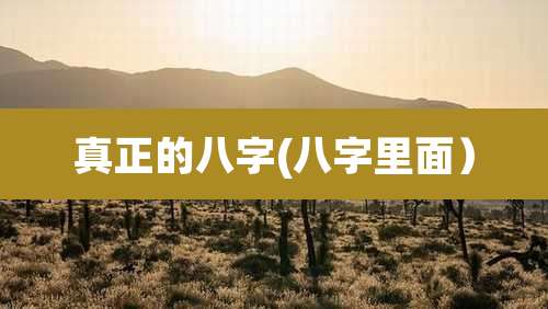 真正的八字(八字里面）