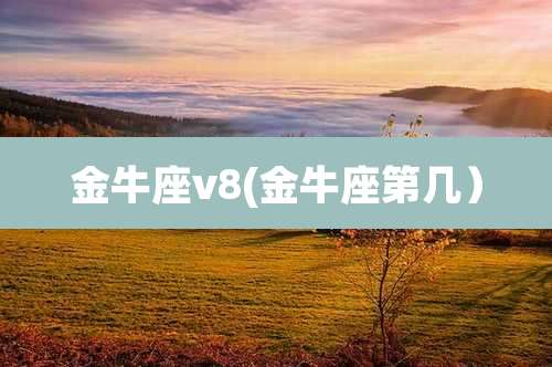 金牛座v8(金牛座第几）