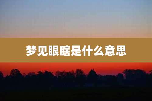 梦见眼瞎是什么意思
