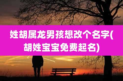 姓胡属龙男孩想改个名字(胡姓宝宝免费起名)