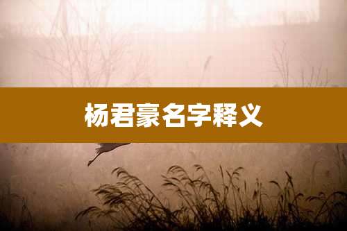 杨君豪名字释义