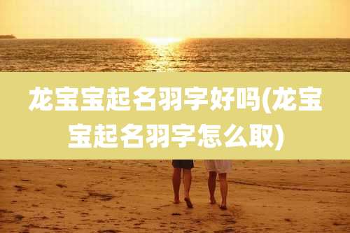 龙宝宝起名羽字好吗(龙宝宝起名羽字怎么取)