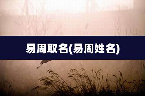 易周取名(易周姓名)