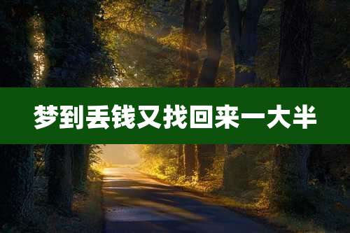 梦到丢钱又找回来一大半