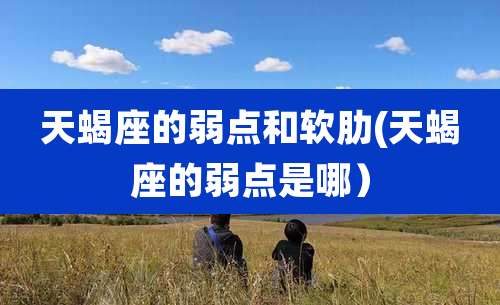 天蝎座的弱点和软肋(天蝎座的弱点是哪)