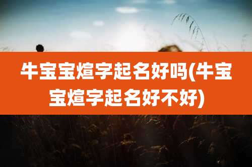 牛宝宝煊字起名好吗(牛宝宝煊字起名好不好)