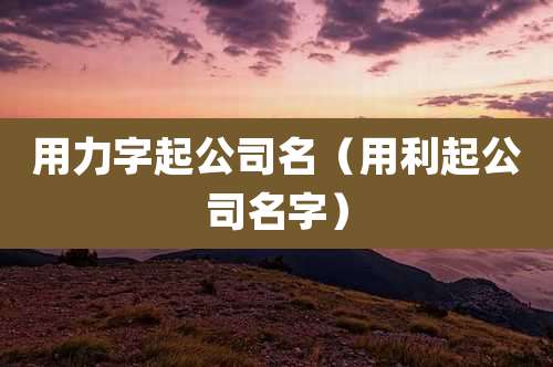 用力字起公司名（用利起公司名字）