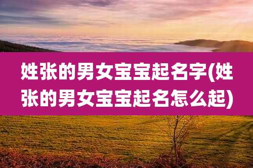 姓张的男女宝宝起名字(姓张的男女宝宝起名怎么起)