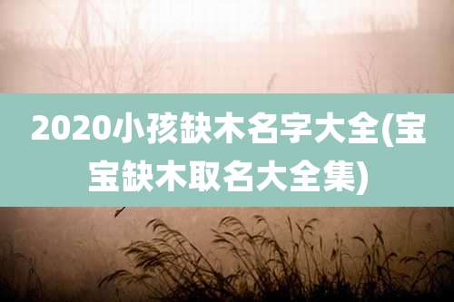 2020小孩缺木名字大全(宝宝缺木取名大全集)