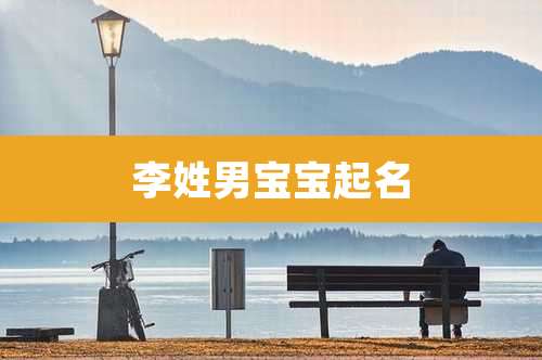 李姓男宝宝起名