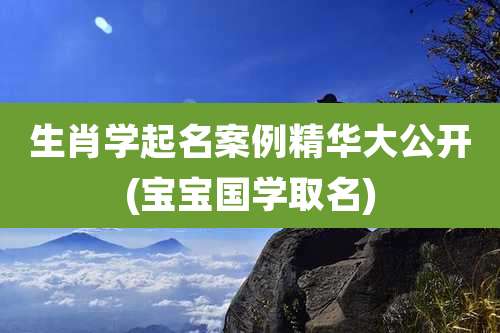 生肖学起名案例精华大公开(宝宝国学取名)