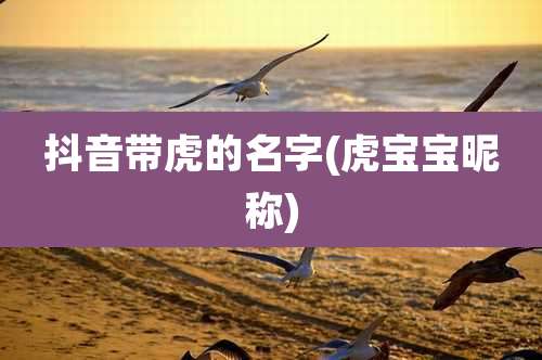 抖音带虎的名字(虎宝宝昵称)