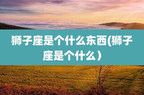 狮子座是个什么东西(狮子座是个什么）