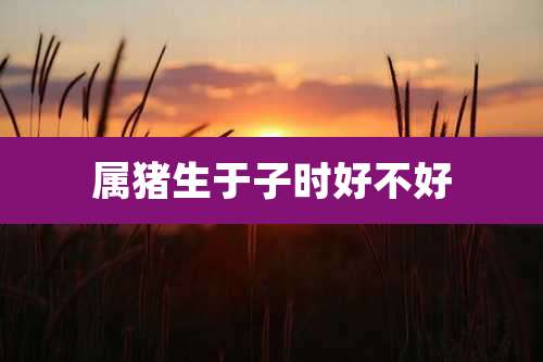 属猪生于子时好不好