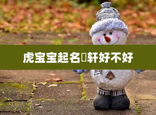 虎宝宝起名璟轩好不好