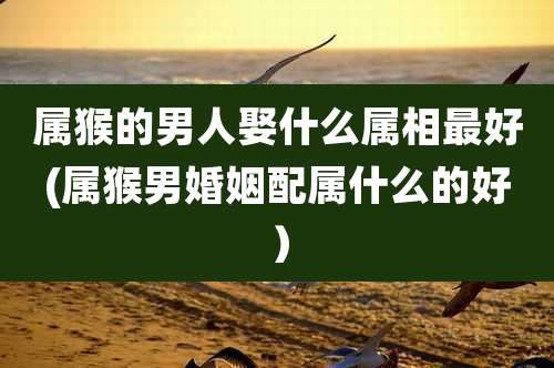 属猴的男人娶什么属相最好(属猴男婚姻配属什么的好)