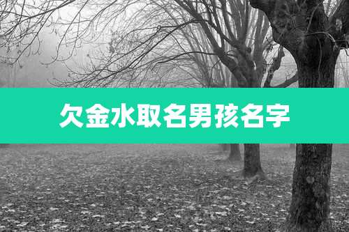 欠金水取名男孩名字