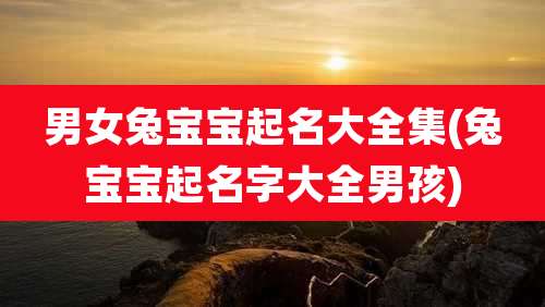 男女兔宝宝起名大全集(兔宝宝起名字大全男孩)