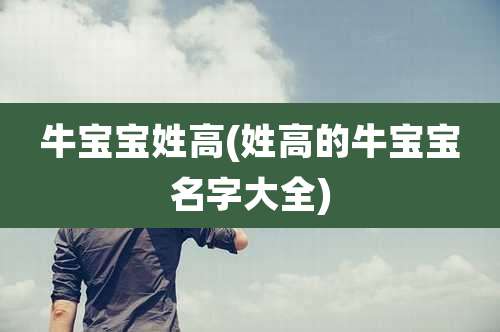 牛宝宝姓高(姓高的牛宝宝名字大全)