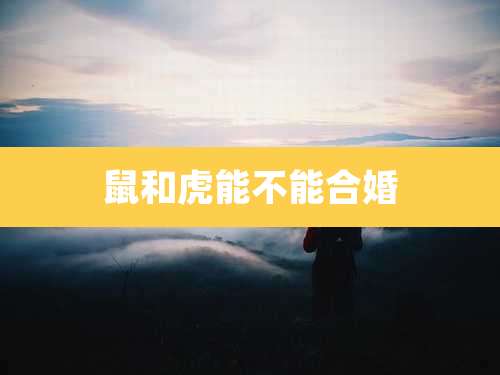 鼠和虎能不能合婚