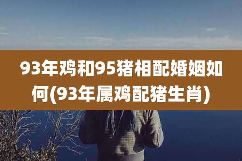 93年鸡和95猪相配婚姻如何(93年属鸡配猪生肖)