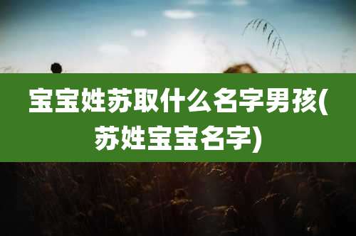 宝宝姓苏取什么名字男孩(苏姓宝宝名字)