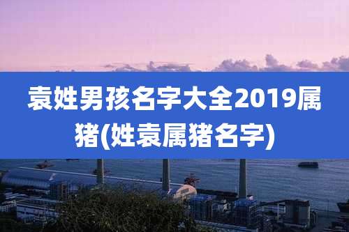 袁姓男孩名字大全2019属猪(姓袁属猪名字)