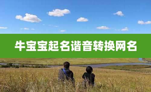 牛宝宝起名谐音转换网名
