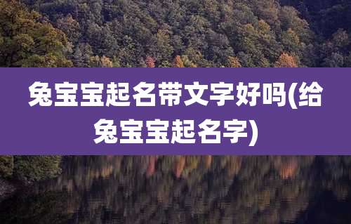 兔宝宝起名带文字好吗(给兔宝宝起名字)