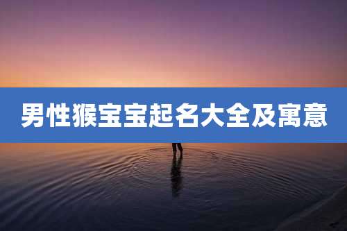 男性猴宝宝起名大全及寓意