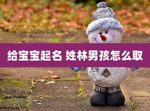 给宝宝起名 姓林男孩怎么取