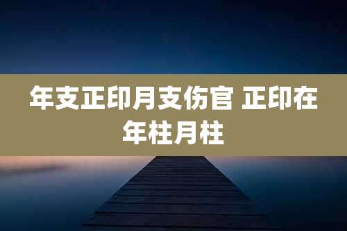 年支正印月支伤官 正印在年柱月柱