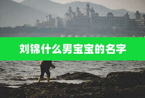 刘锦什么男宝宝的名字