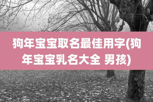 狗年宝宝取名最佳用字(狗年宝宝乳名大全 男孩)