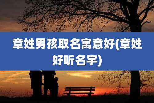 章姓男孩取名寓意好(章姓好听名字)