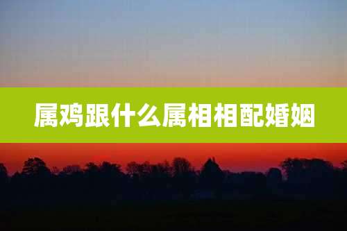 属鸡跟什么属相相配婚姻