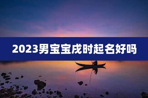 2023男宝宝戌时起名好吗