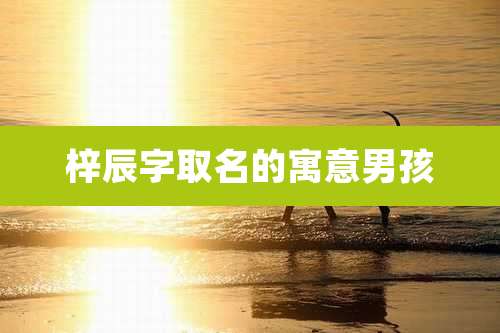 梓辰字取名的寓意男孩