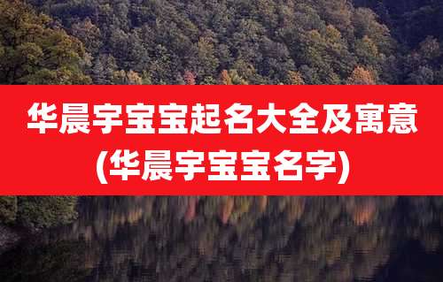 华晨宇宝宝起名大全及寓意(华晨宇宝宝名字)