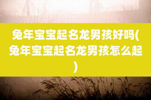 兔年宝宝起名龙男孩好吗(兔年宝宝起名龙男孩怎么起)