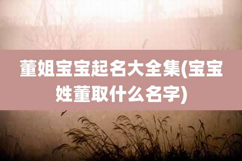 董姐宝宝起名大全集(宝宝姓董取什么名字)