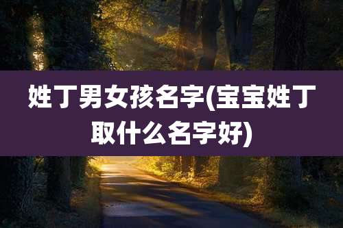 姓丁男女孩名字(宝宝姓丁取什么名字好)