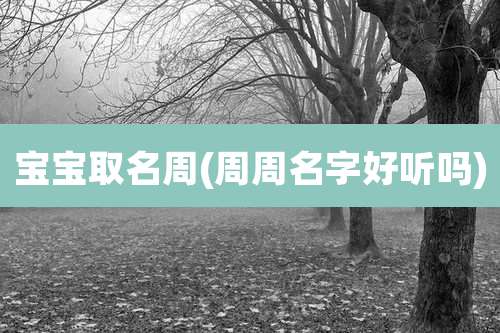 宝宝取名周(周周名字好听吗)
