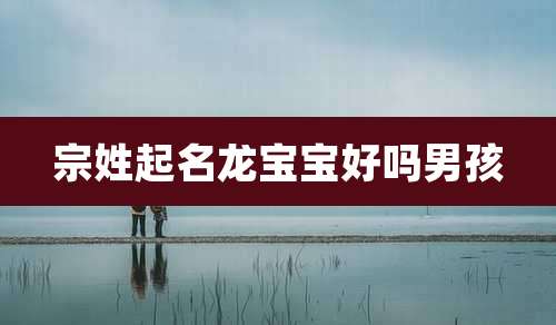 宗姓起名龙宝宝好吗男孩