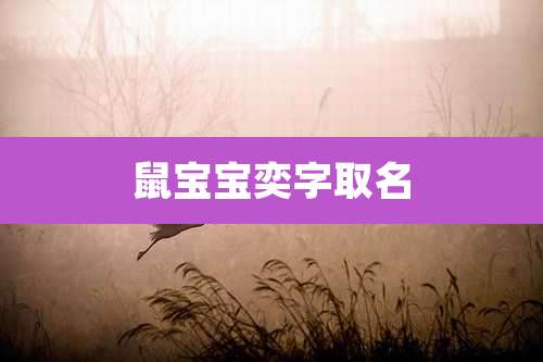 鼠宝宝奕字取名