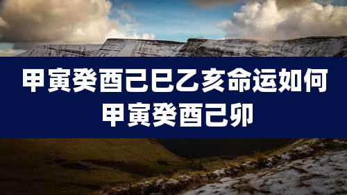 甲寅癸酉己巳乙亥命运如何 甲寅癸酉己卯