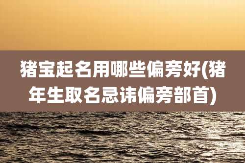 猪宝起名用哪些偏旁好(猪年生取名忌讳偏旁部首)